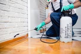 Emergency Pest Control Services in Ovilla, TX